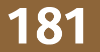 Bus 181